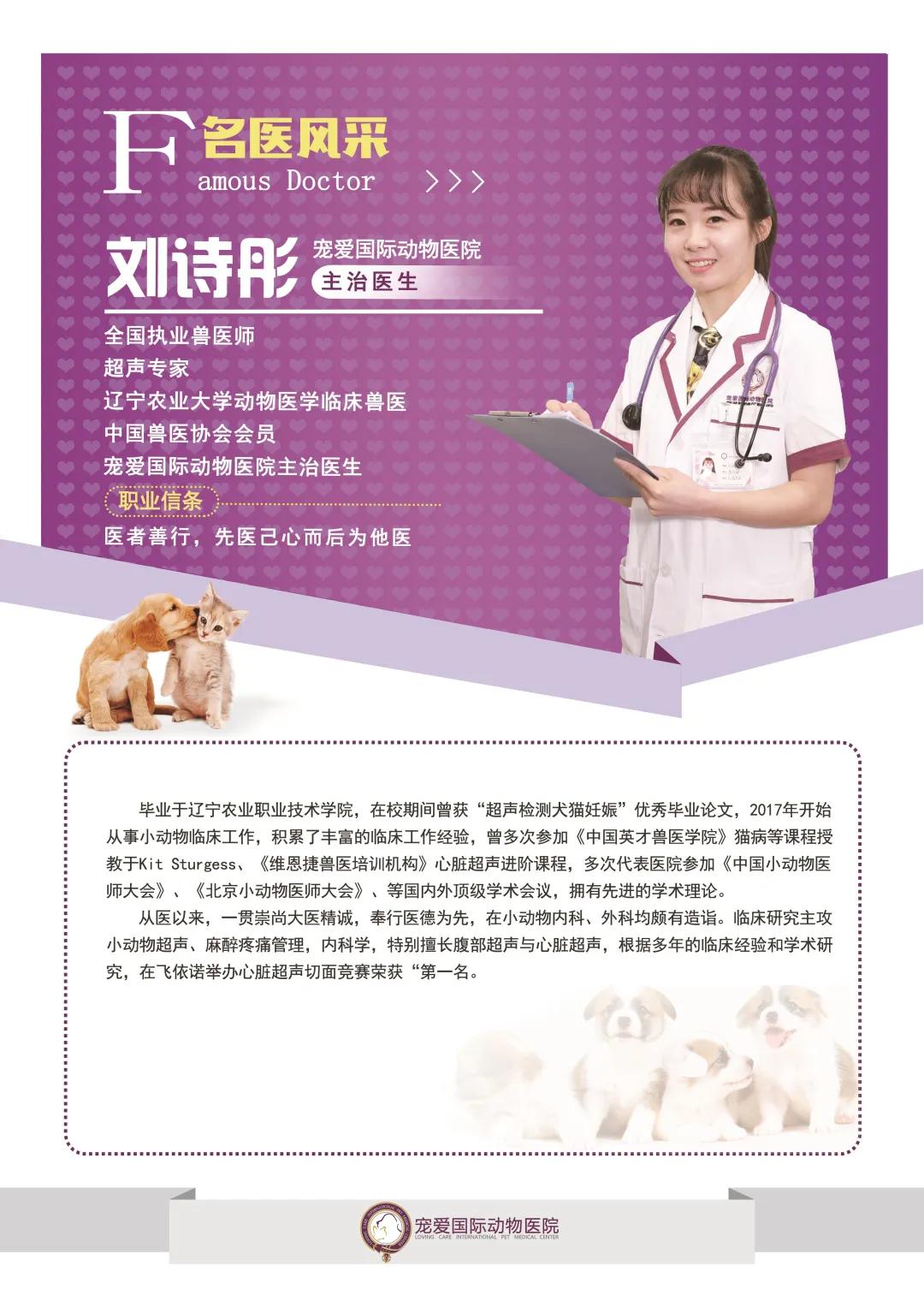 狗狗得支气管炎是什么原因,狗狗有支气管炎怎么办