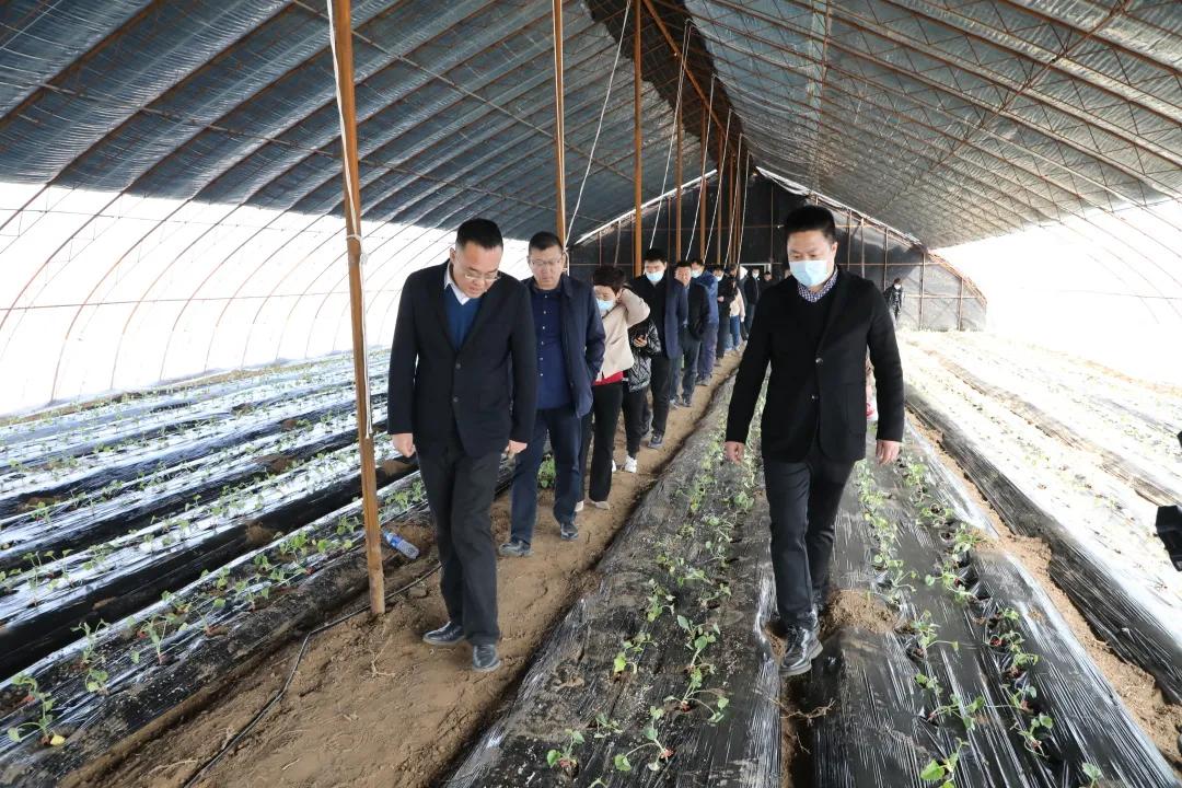 锦州市促进就业创业政策,返乡入乡创业创新政策宣传周