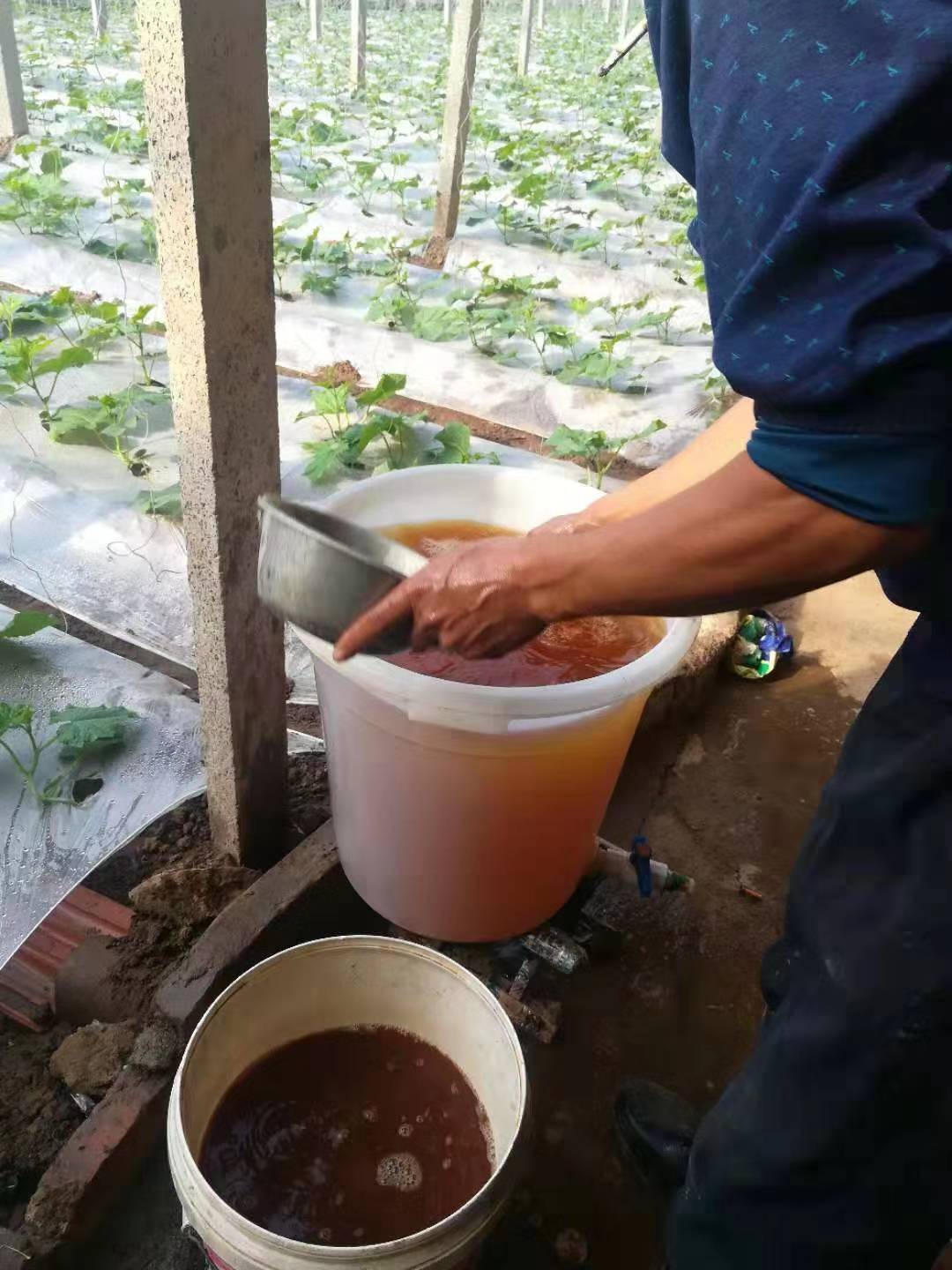 冬季铺黑地膜好还是白地膜好,黑地膜冬天使用方法