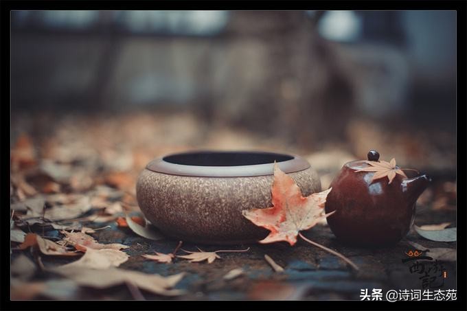 qq个性签名简短有深意的诗句,难懂又有深意的个性签名诗句女生