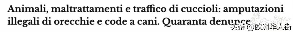 为了卖价剪短幼犬耳朵尾巴！意大利抓获一大型犬类*私走**团伙