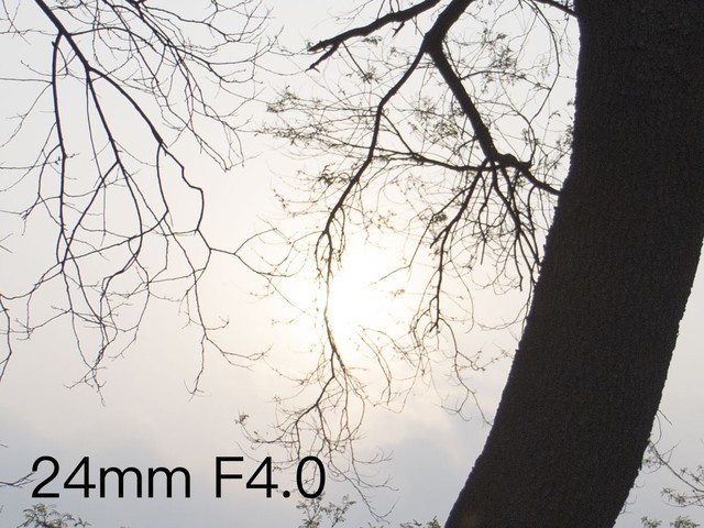 佳能eosrp套机rf24-105mmf4,佳能rf24-105mm评测