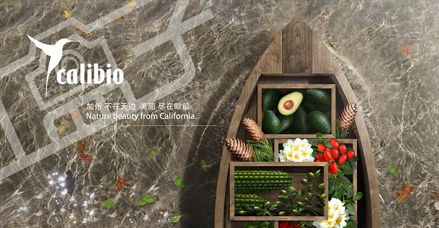 平面广告设计基本知识,平面广告设计的设计过程