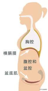 锻炼盆底肌能加快顺产吗,如何锻炼盆底肌防止漏尿