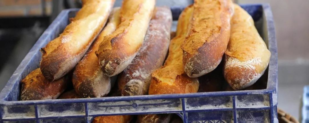 做一个好面包,做面包一定成功的方法