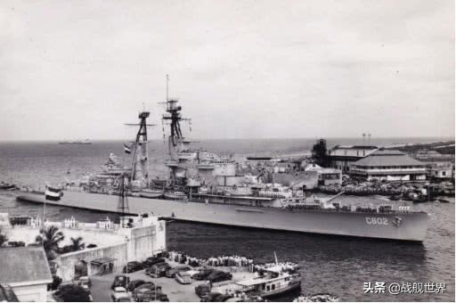 特色鲜明，再装填与多种水上机，她们如果加入游戏必将十分强力！