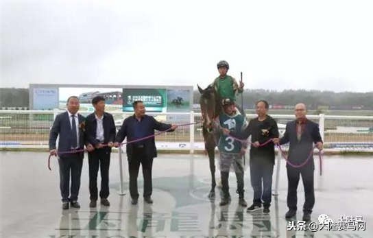 玉龙赛马公开赛,玉龙赛马赛程