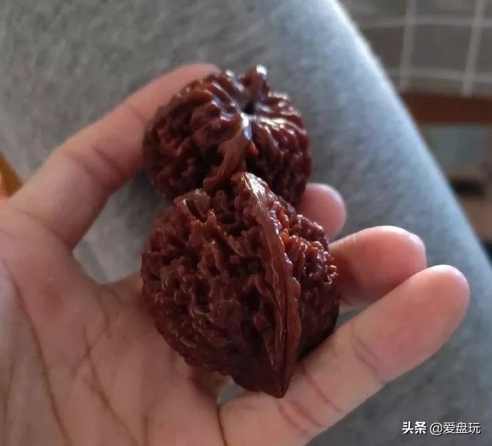 核桃盘时间长了为什么会变红玉化,盘的核桃发霉了怎么办