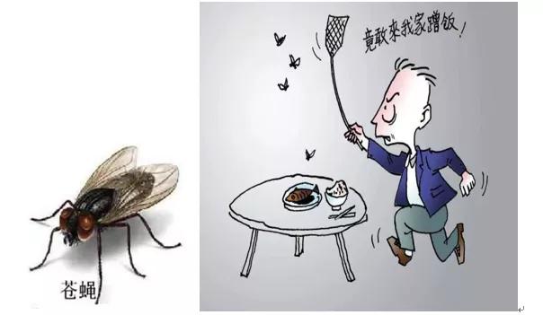 春夏交替,桂林天气闷,专家教您灭“四害”小窍门