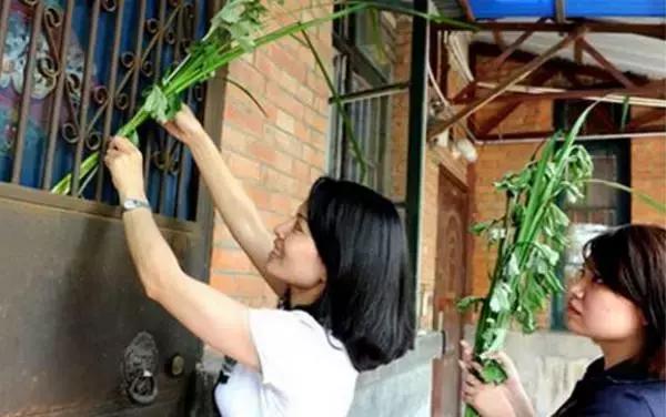 毒五月吃什么好,毒五月吃什么