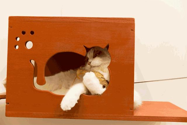 杩涘叆绾康纰戝康纰戣胺,杩涘叆绾康纰戣胺