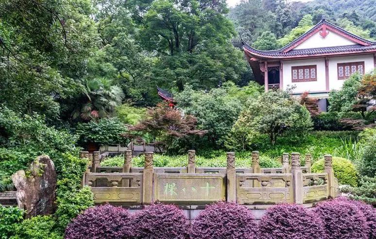 中国5种土豪茶，最贵的克价12万，一壶泡掉上百万