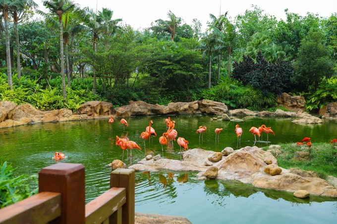 玩转珠海酒店,玩转珠海长隆全攻略