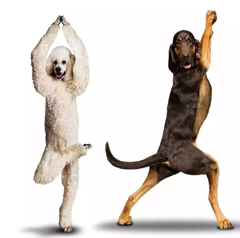 【话题讨论】这类事你们怎么看？