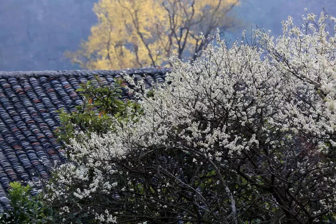 退休后就去国内旅游,退休后必去的100个景点