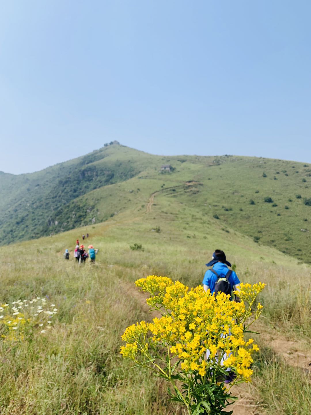 郑州最近山顶草原,离郑州自驾最近的大草原有哪些