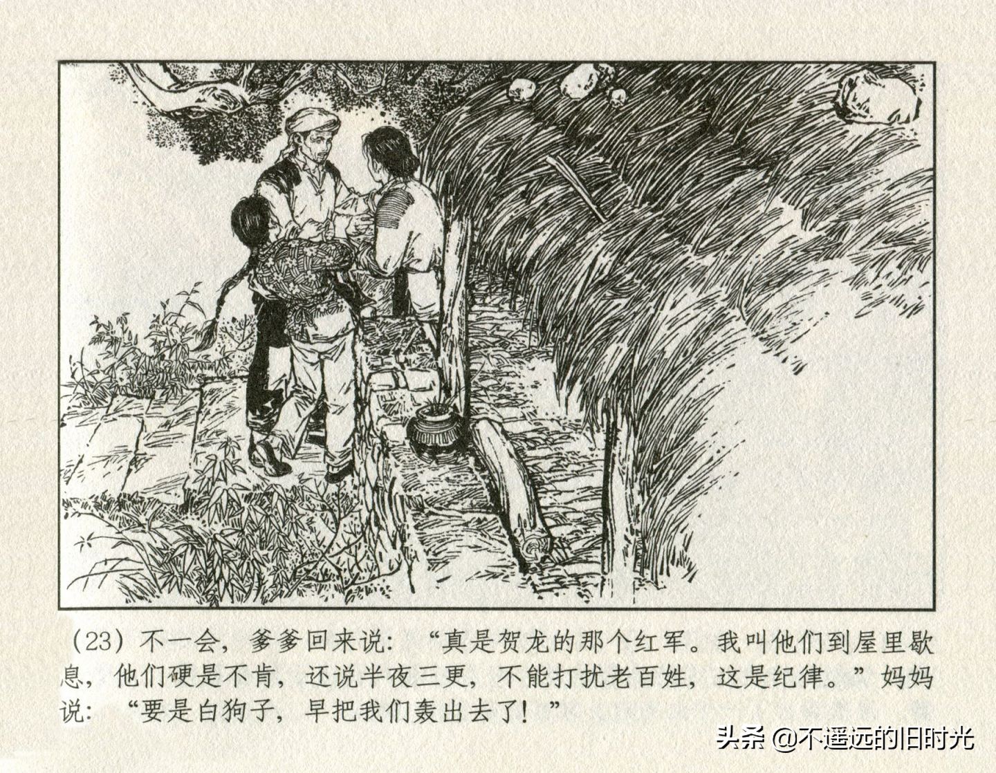 朝阳花-上海人民美术出版社1981初版2016再版陆成法陆小弟绘