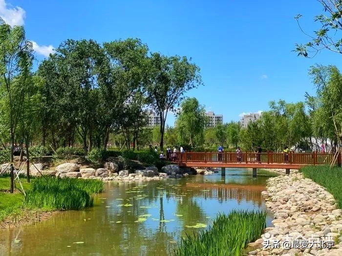 京城新增一“小江南”！免费人少