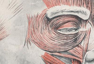 有眼袋是不是真的显老,有眼袋人显老快试试这个方法吧