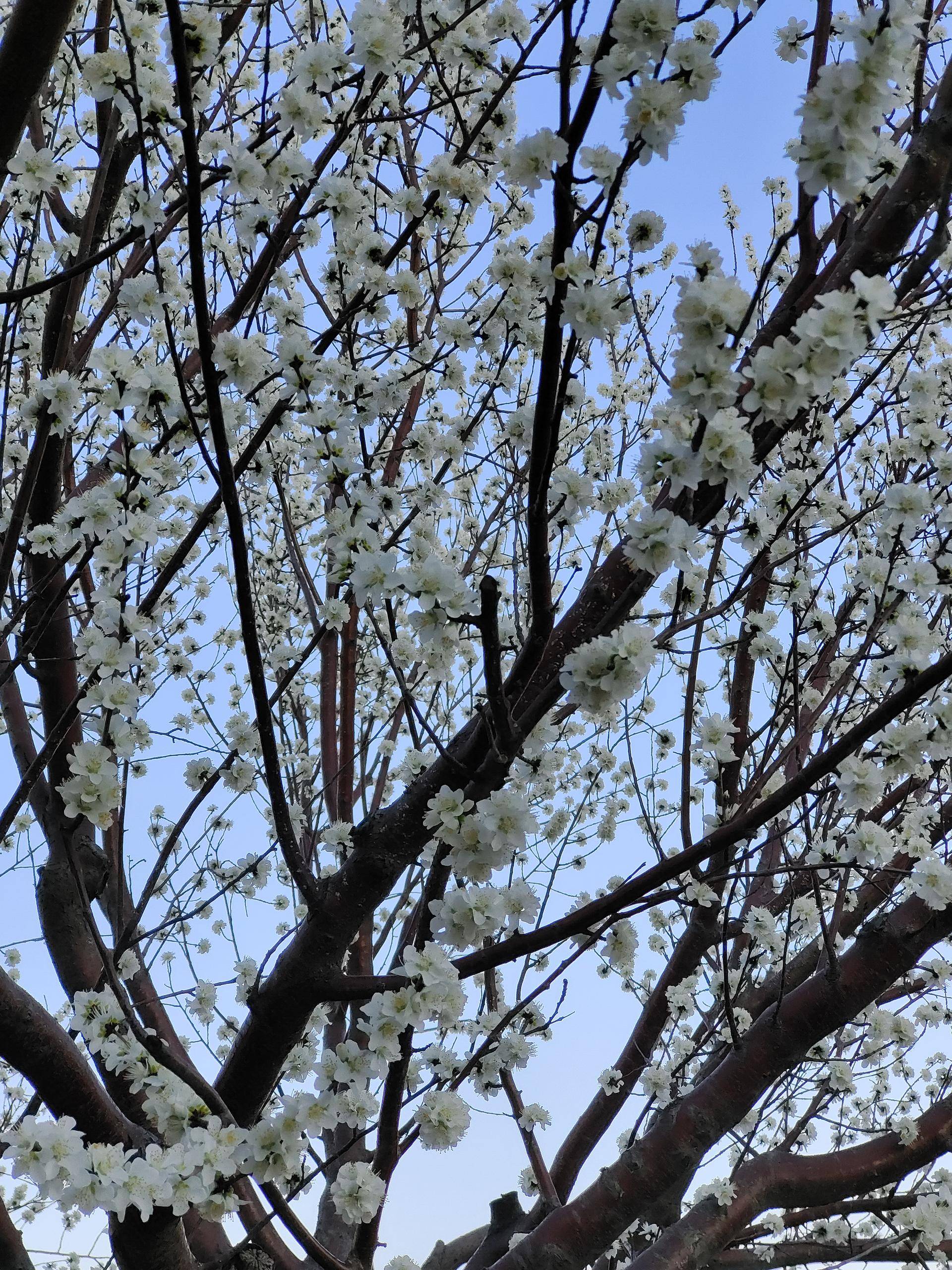 iqooz3定位有问题,iqoou3定位