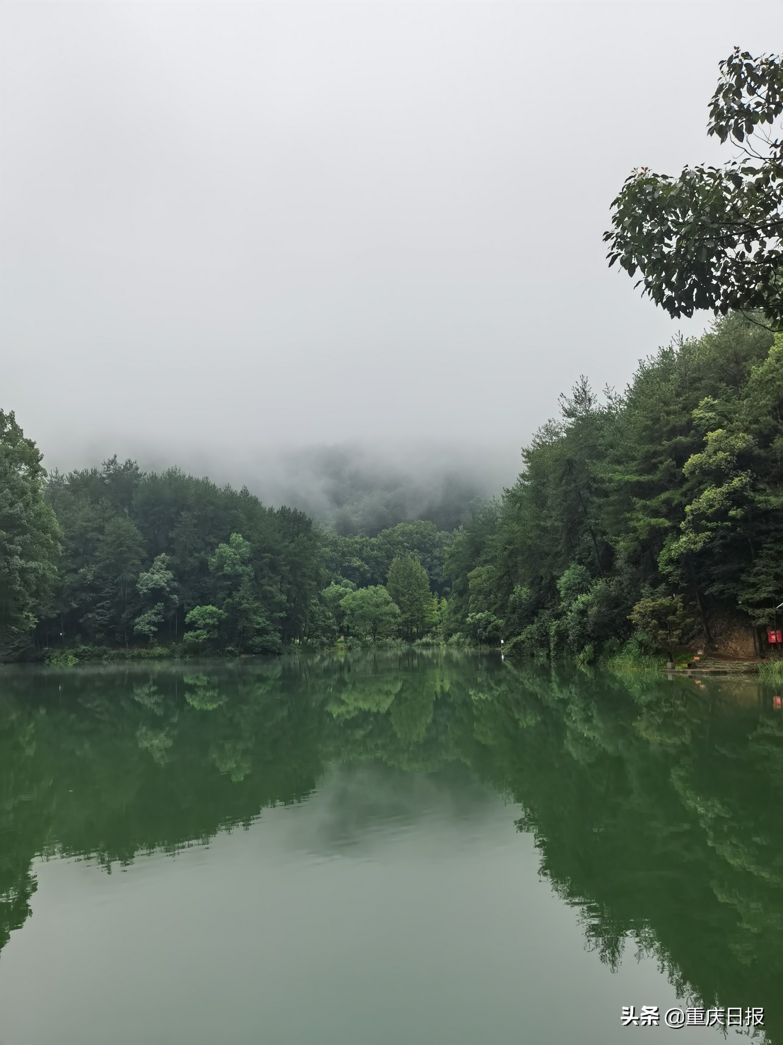 重庆领略山城旅游攻略,缙云山自然保护区整治