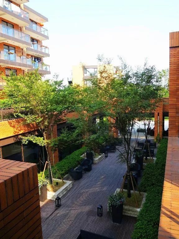 杭州良渚随园嘉树养老院,杭州良渚万科随园嘉树养老公寓