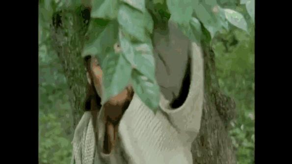 谢霆锋李亚鹏最新状况,李亚鹏惨状