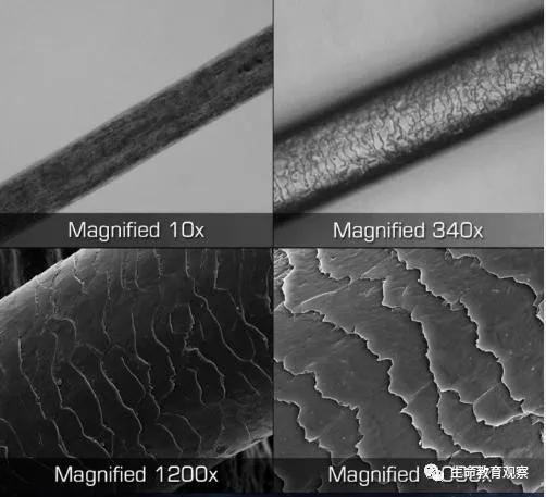 看完后，整个人都有点不对劲了（传播生物知识）