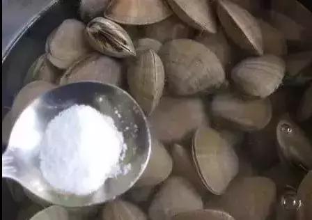 海鲜清洗大全每个都实用到爆,海鲜美食清洗法大全