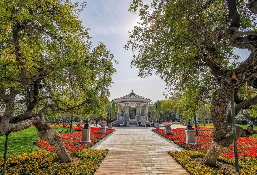 天津市五一新开放的公园,天津春暖花开西沽公园