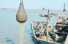 齐鲁名字的由来,胶州为何得名