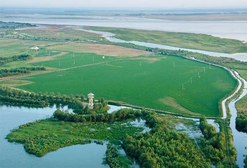 郑州2023年崛起吗,郑州今年还会升温吗