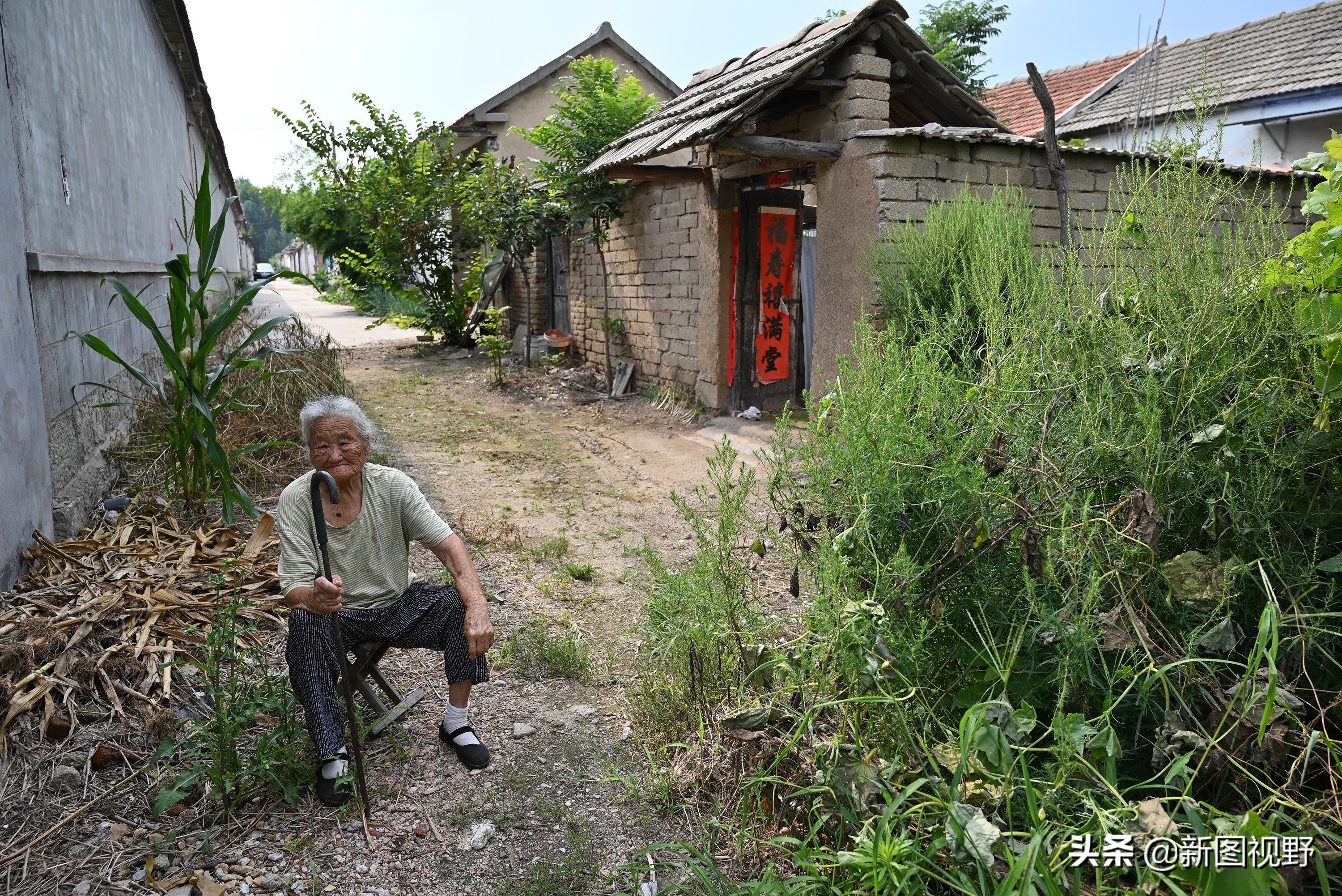 77岁儿子谈长寿经验，100岁母亲插话说出生活秘诀，极具人生智慧