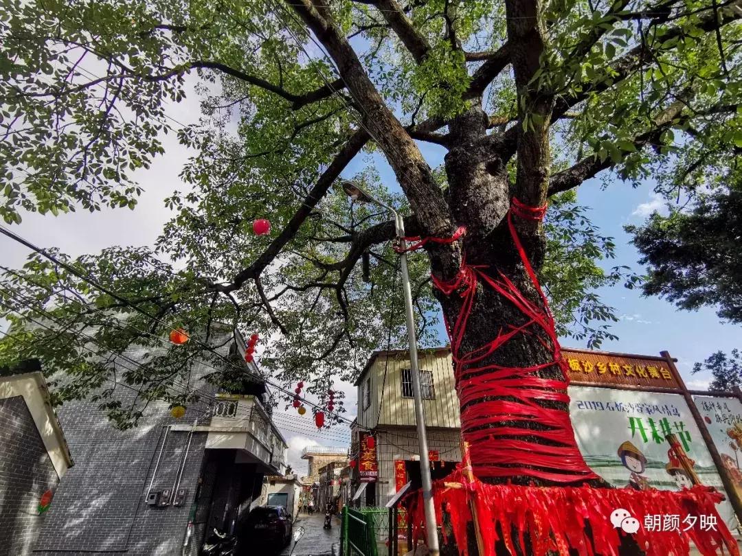 新会石板沙最好的地方,江门石板沙村旅游介绍