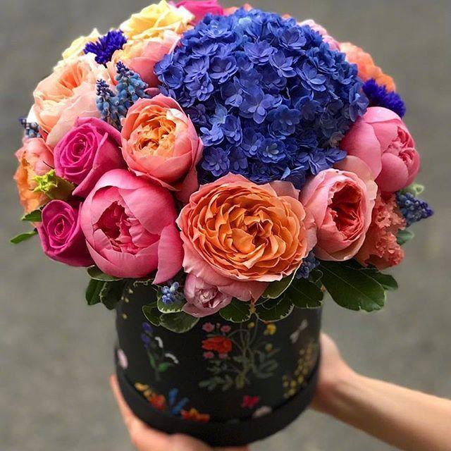 情人节情话最暖心撩人,情人节贺卡情话短句干净撩人