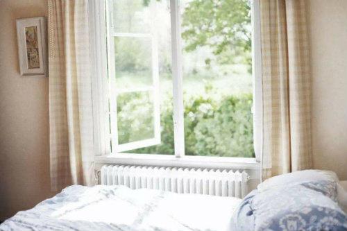 丹参保心茶成分是什么药材,保心茶的功效与作用