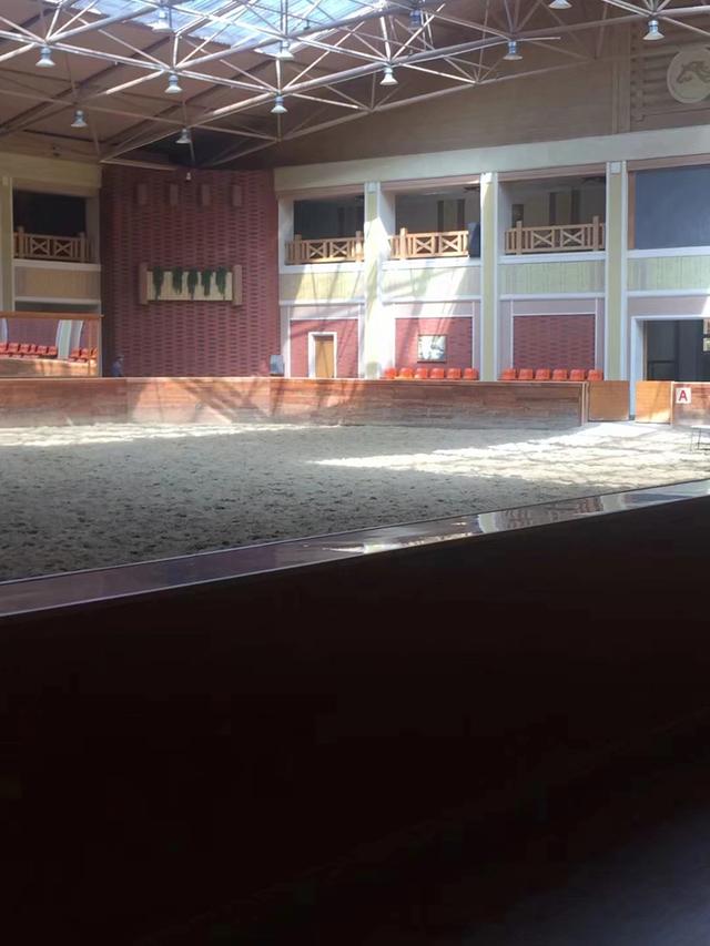 奇妙假期解说,奇妙假期一日游