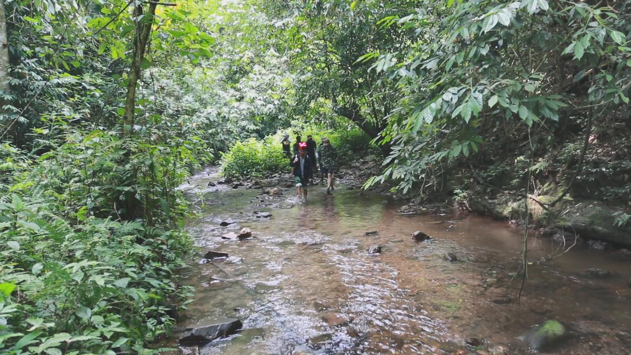新茶上市快来选购吧,教你如何正确选购新茶