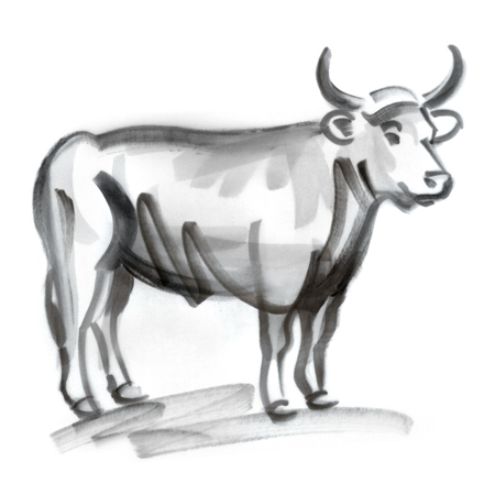 12鏄熷骇鐢风敓鏆楁亱浣犵殑琛ㄧ幇,12鏄熷骇鐢风敓鏆楁亱浣犵殑寰佸厗