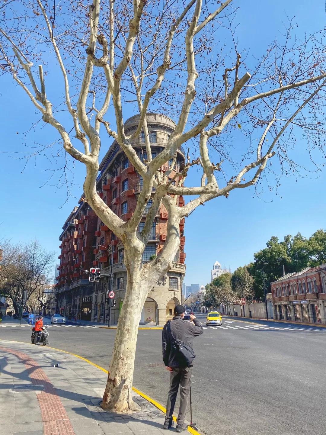 上海2月4日天气,上海2月10日天气