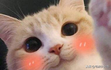 刺激战场各武器的别称,刺激战场神级武器排名