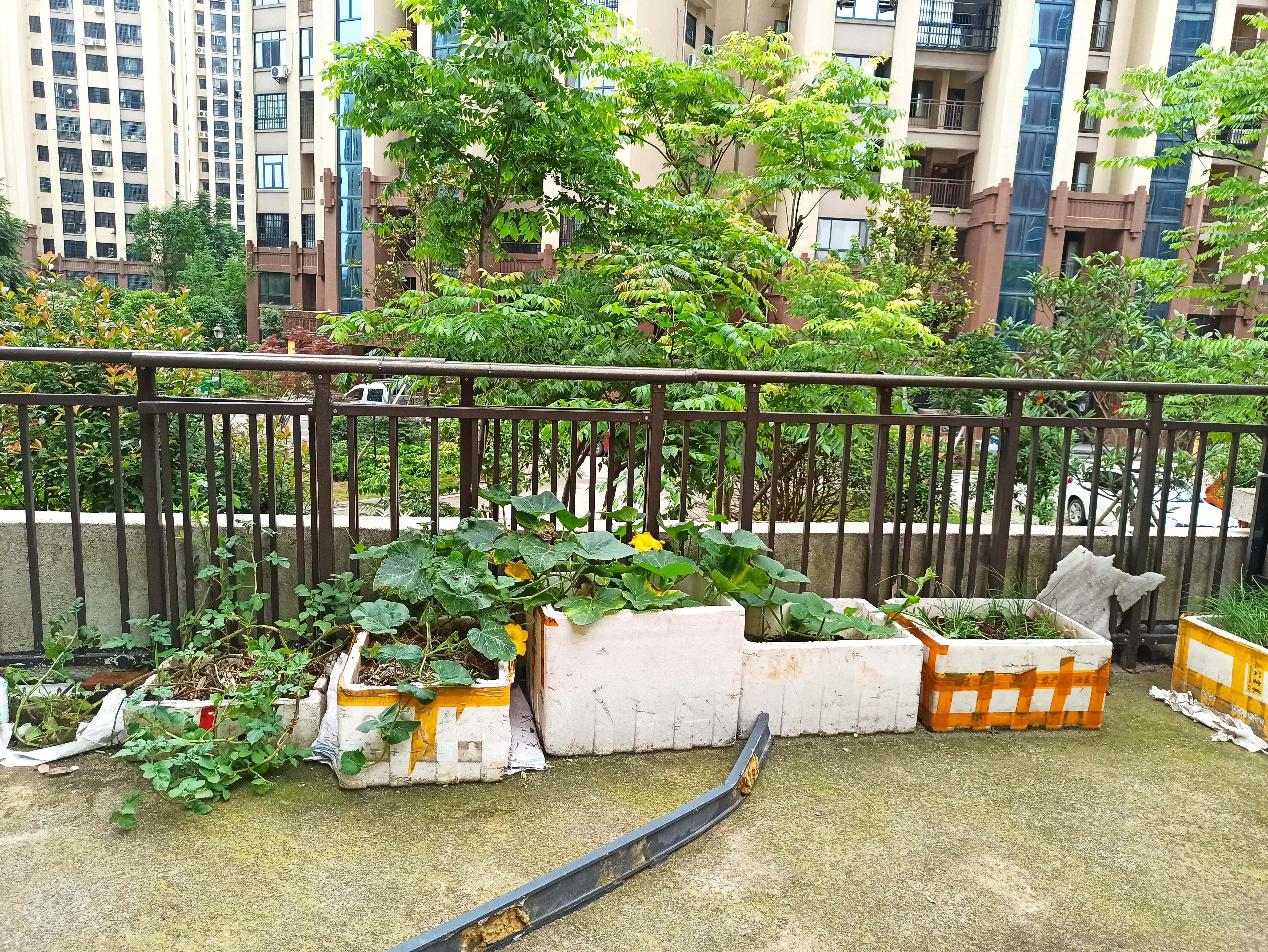 为了便宜的房子买了顶层,为了省钱买了顶楼的房子