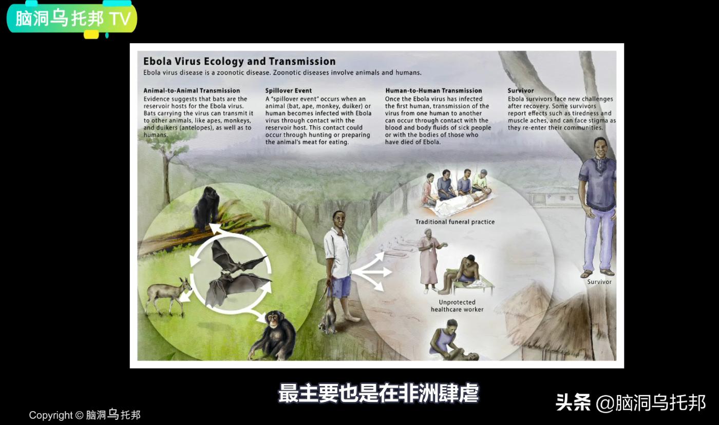 人类第一个消灭的致命病毒是什么,人类史上第一例被消灭的致命病毒