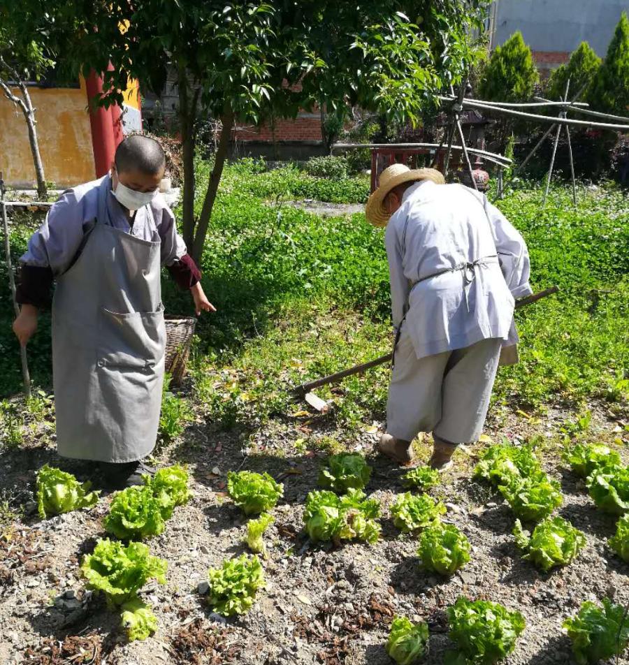 抢抓农时开展农业生产,农民纷纷抢抓春耕生产有利时机