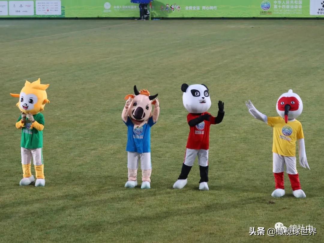 我和我的体育故事,我和橄榄球的故事