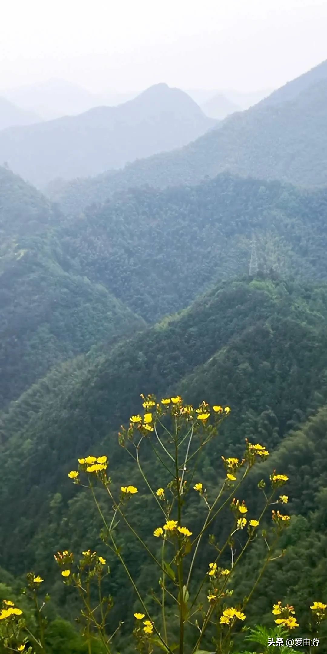 疫情后旅行新玩法,“州”游之衢州四天三夜