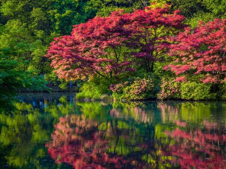 冬季杭州景点游玩,杭州游玩的景点有哪些