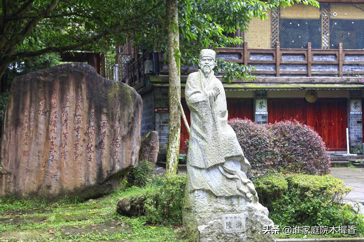 陆游写的诗五言绝句,陆游幽居译文