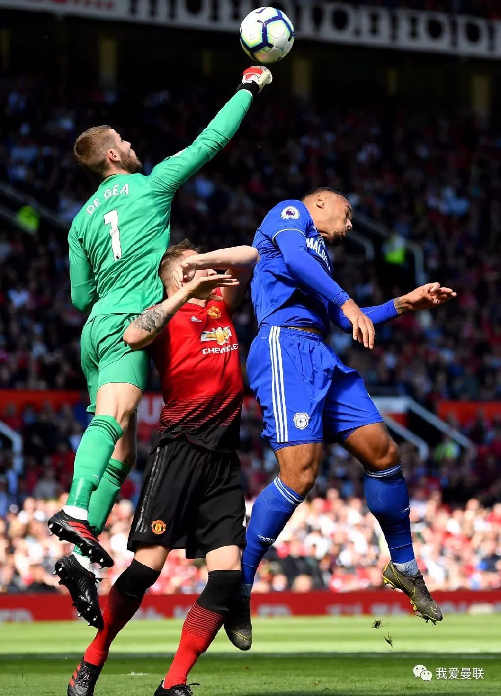 埃雷拉为曼联的付出,埃雷拉在曼联的表现