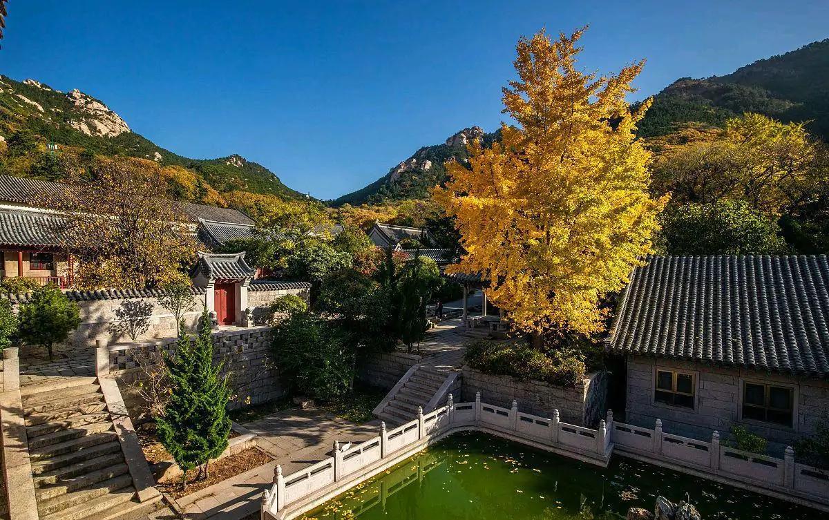 必去打卡的网红景点青岛,青岛旅游网红景点攻略大全集